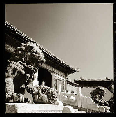 PA_Peking_06c sw (lions) 400x400